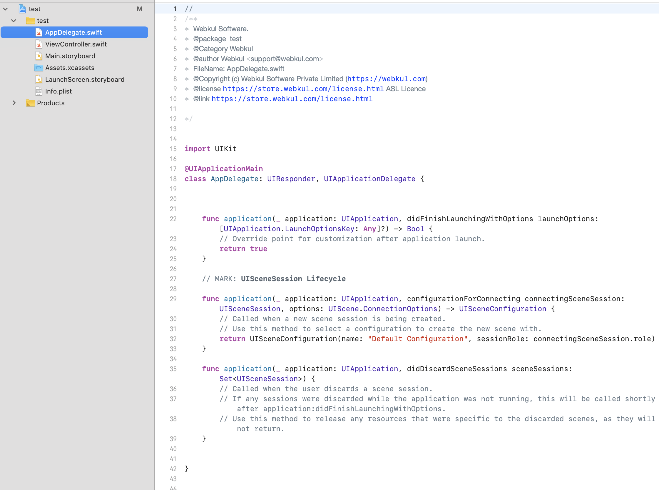 Xcode 11 creates default files while creating a new project